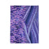 Provence Botanical Lavender Seamless Pattern Plush Fleece Throw Blanket – Prints With Passion (View 10)