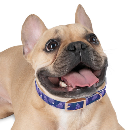 Lavender Fields Dog Collar: Stylish Seamlessness