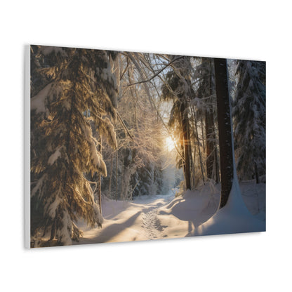 Winter Wonderland Canvas Print