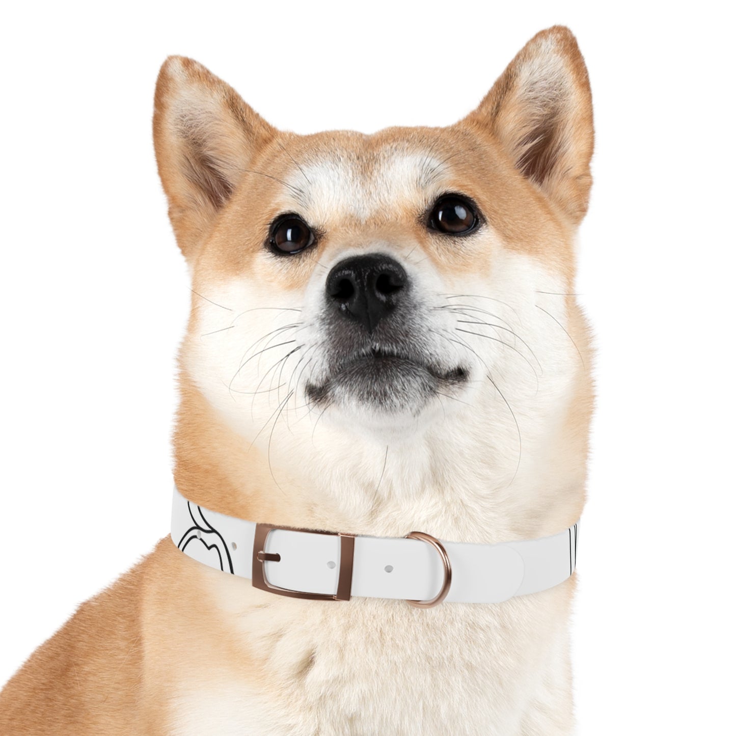 Chic Minimalist Dog Face Collar