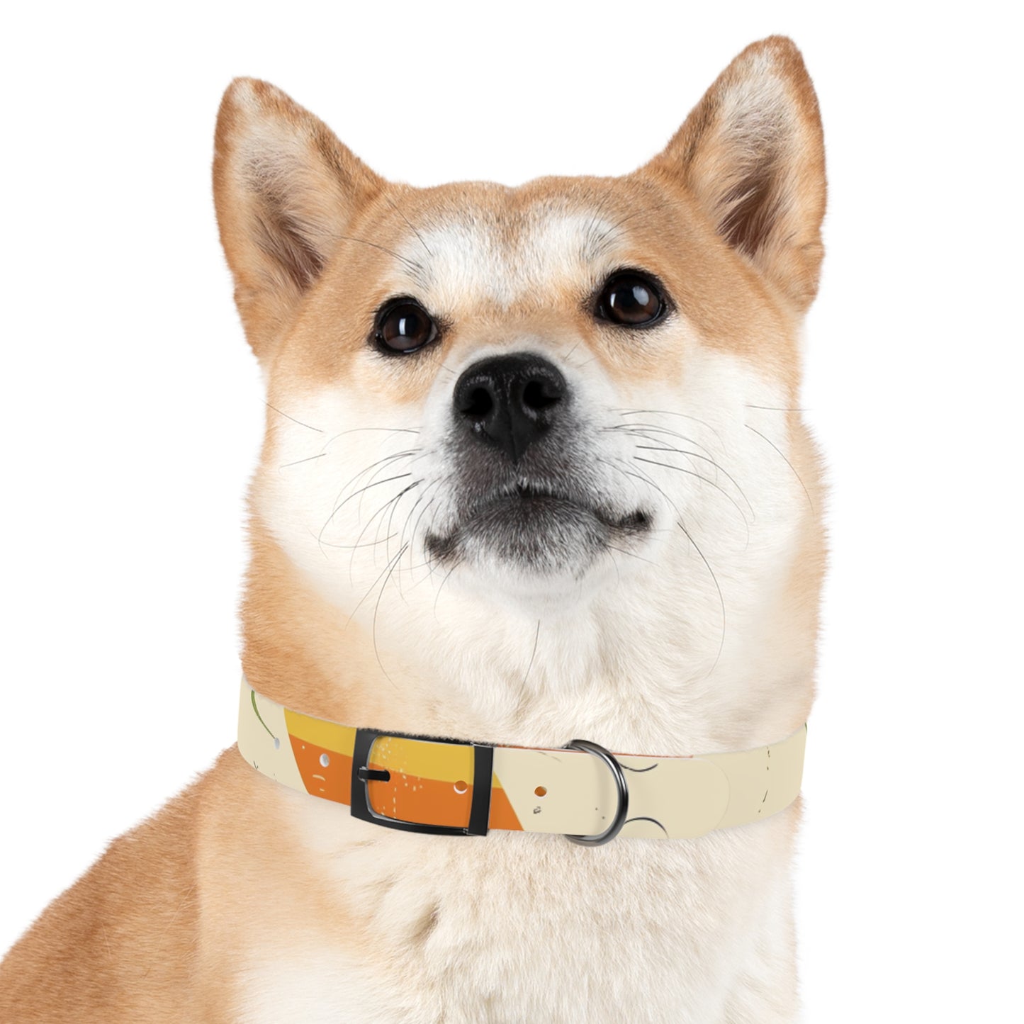 Retro Wave Dog Collar: Colorful & Stylish