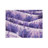 Provence Lavender Botanical Fields Seamless Plush Fleece Throw Blanket - View 3 | Prints With Passion
