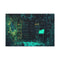 Overgrown Library with Glowing Books — Canvas Wall Art — Front Gallery-Wrapped Canvas View