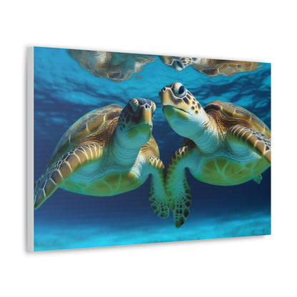 Turtle Paradise Canvas Print