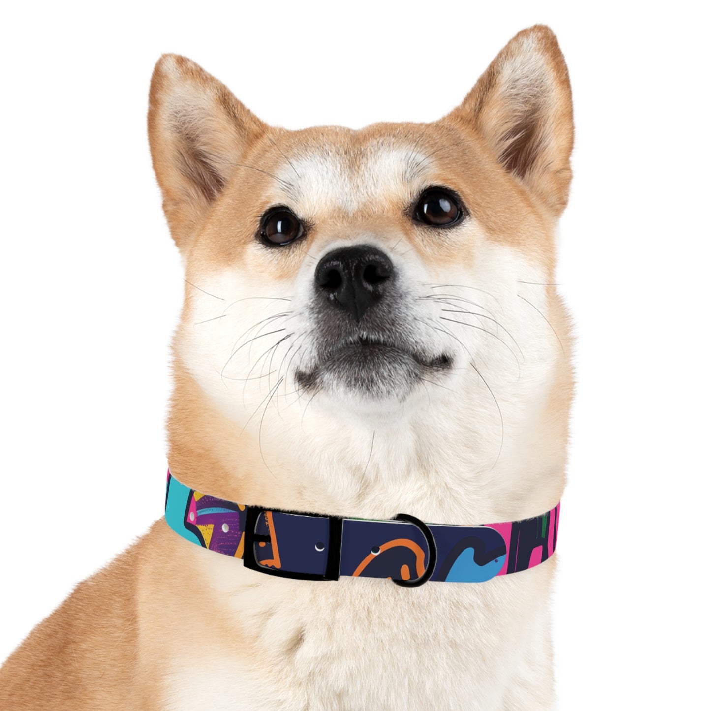 Neon Graffiti Dog Collar: Urban Style Statement