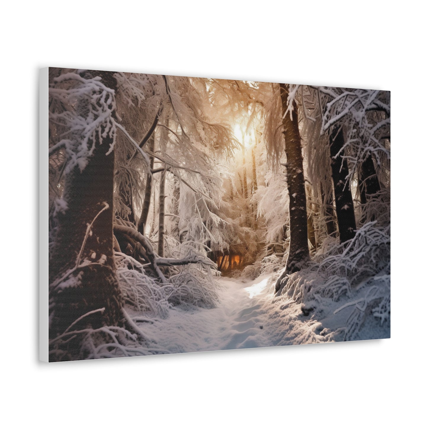 Winter Wonderland Canvas Print