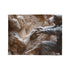 Warrior Carving Time into Rock Wall — Plush Fleece Throw Blanket — 300 GSM Plush Coral Fleece Texture Close-Up