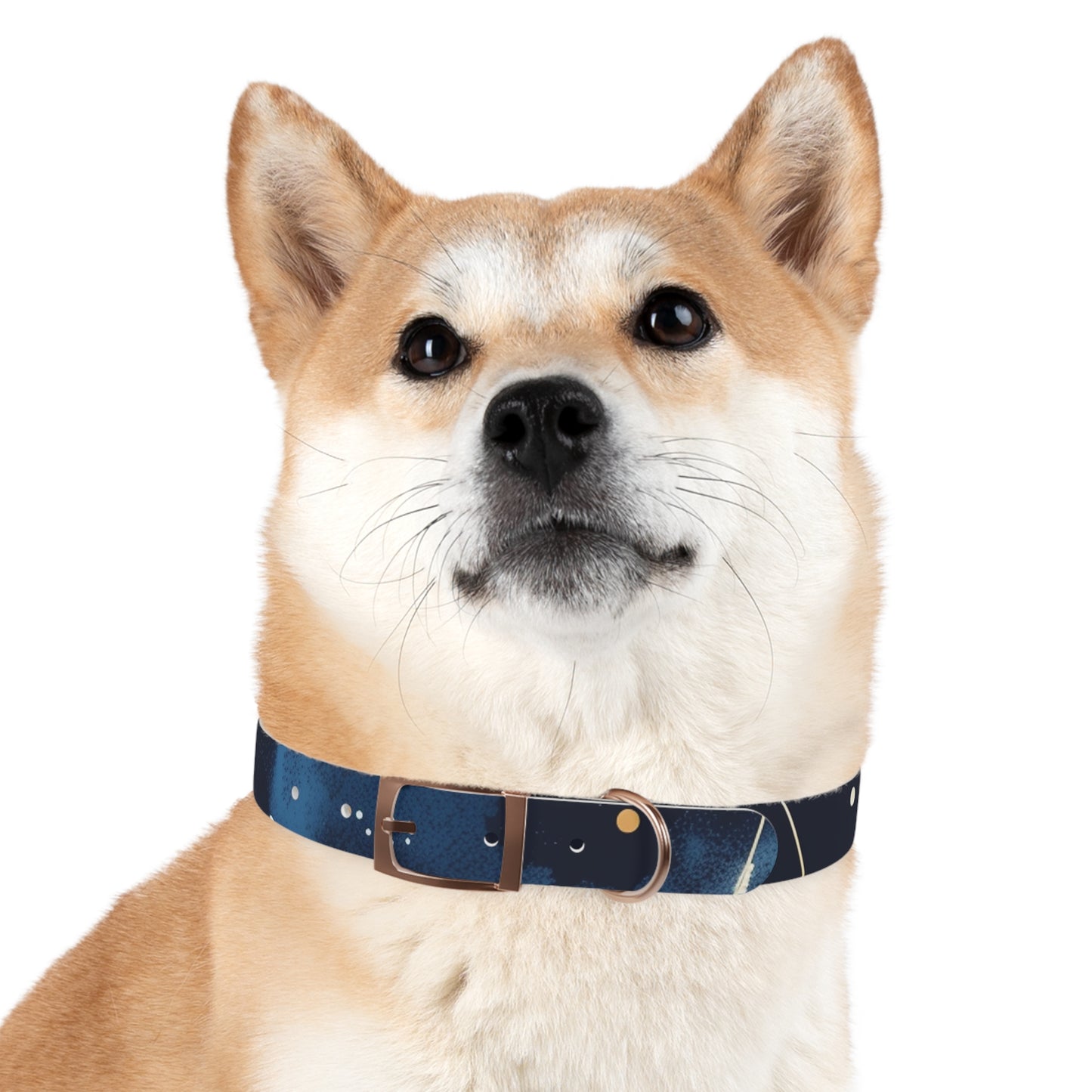 Chic Minimalist Dog Face Collar