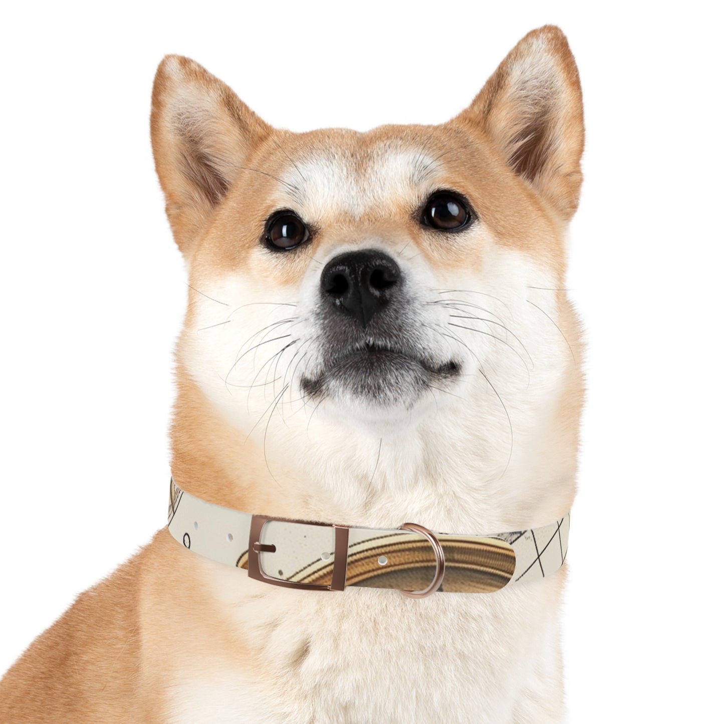 Chic Minimalist Dog Face Collar