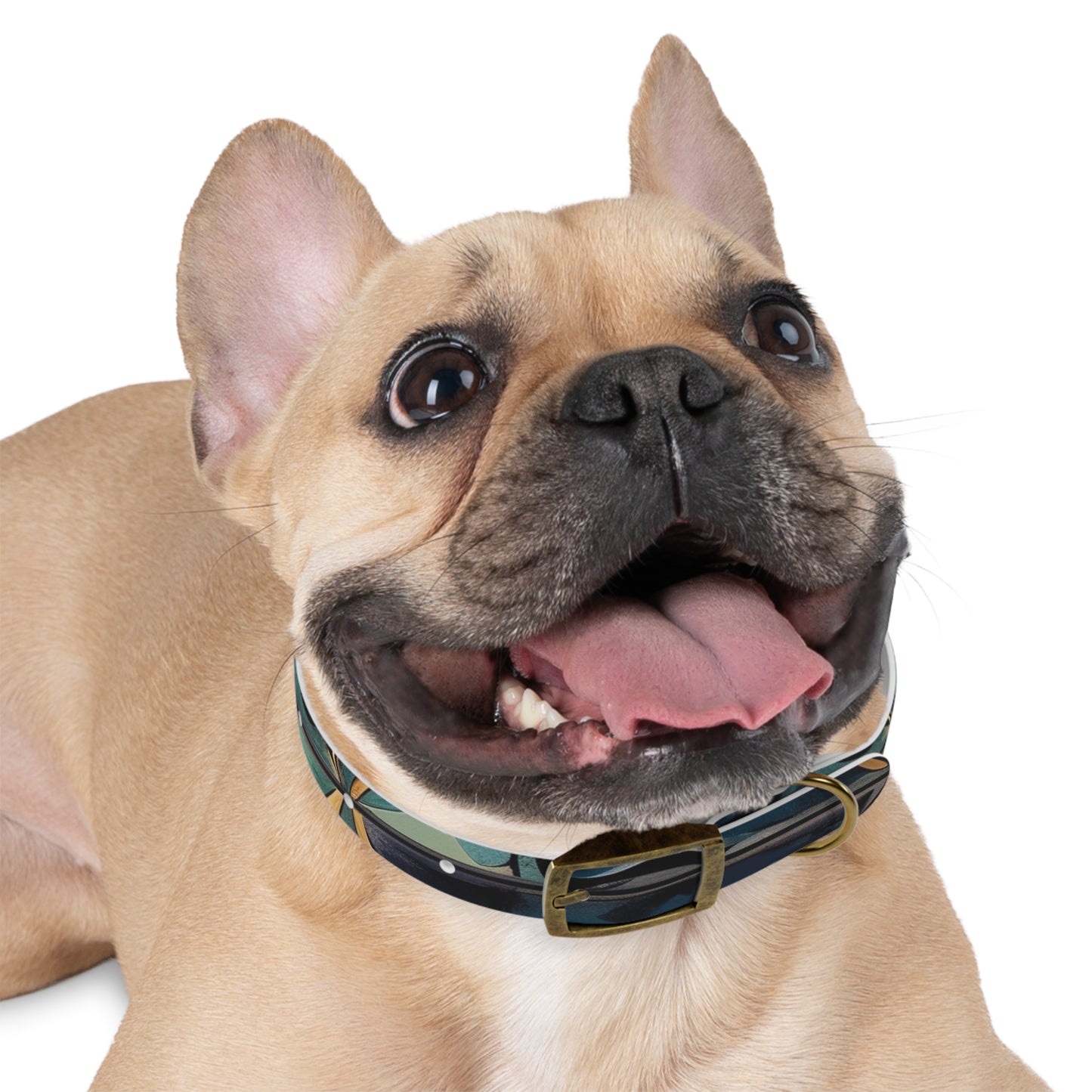 Artisan Tiles Dog Collar: Stylish & Durable