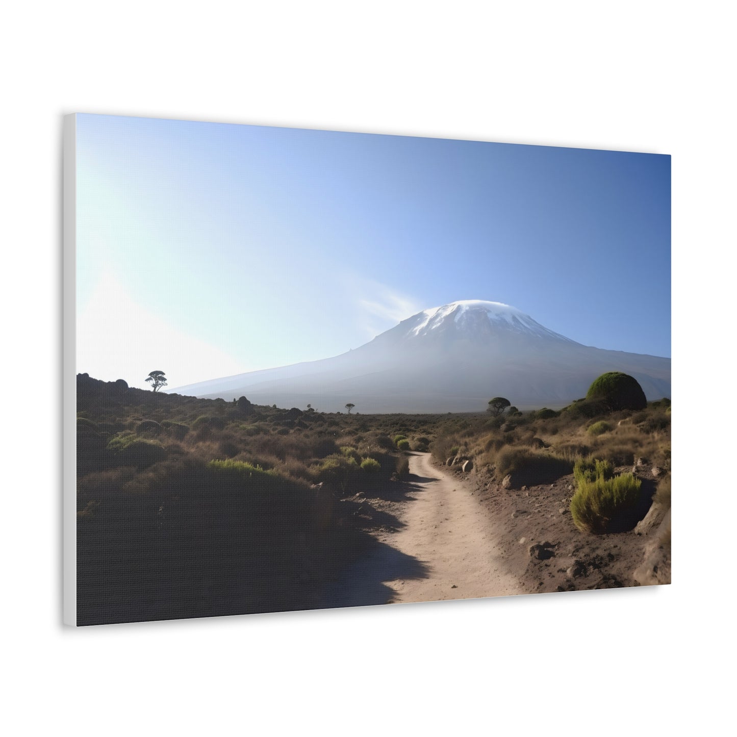 Sunny Mount Kilimanjaro Canvas Print