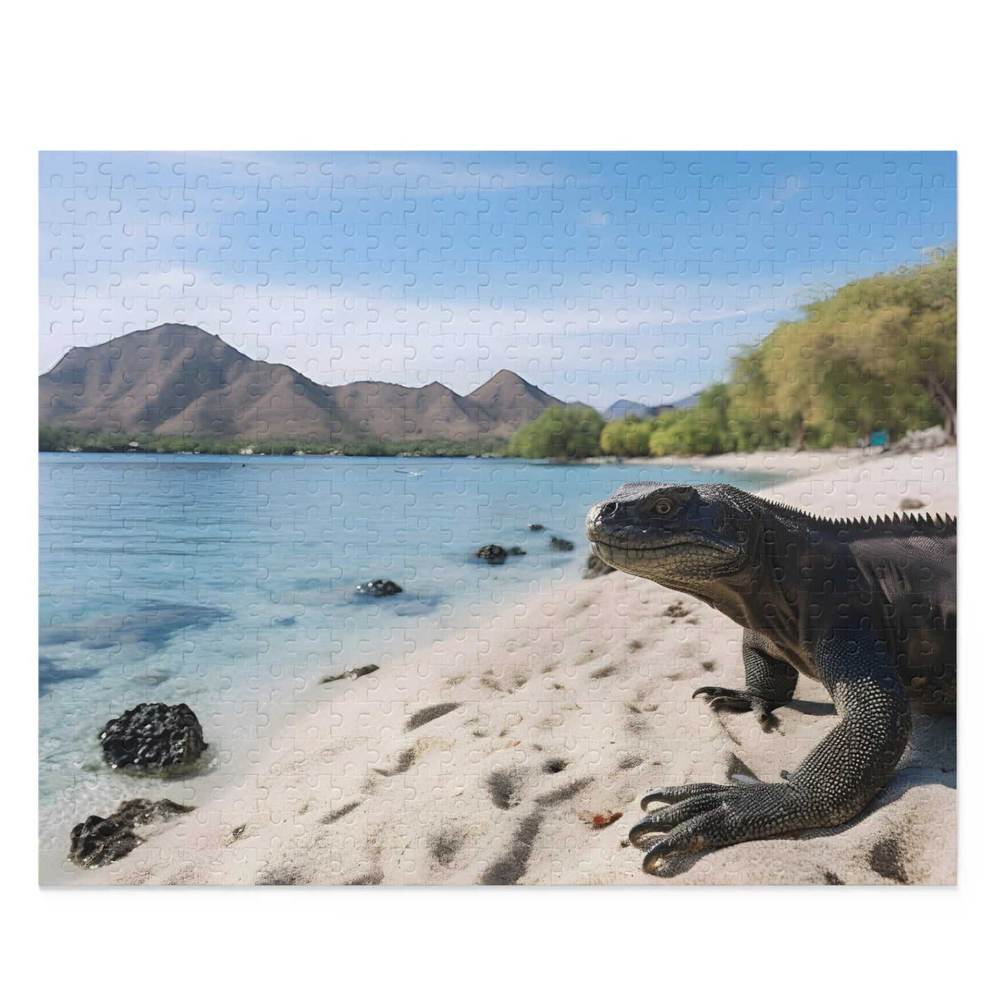 Komodo Dragon Puzzle Adventure