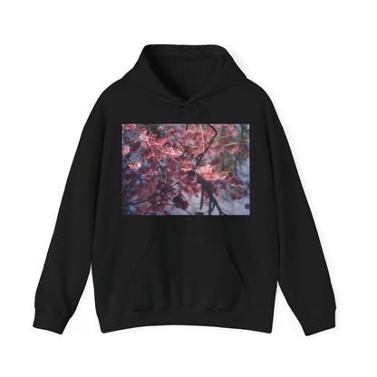 Hanami Cherry Blossoms Spirit Hoodie | Hoodies | DTG, Hoodies, Men's Clothing, Regular fit, Unisex, Women's Clothing | Prints with Passion