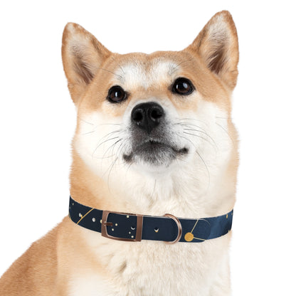 Chic Minimalist Dog Face Collar