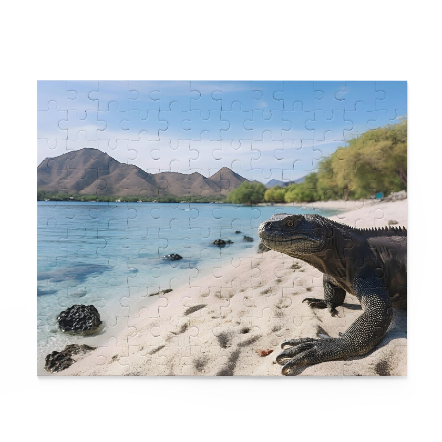 Komodo Dragon Puzzle Adventure