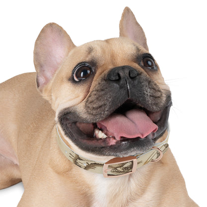 Chic Minimalist Dog Face Collar