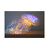 Jellyfish with Fiber Optic Tentacles Stretched Canvas Wall Art