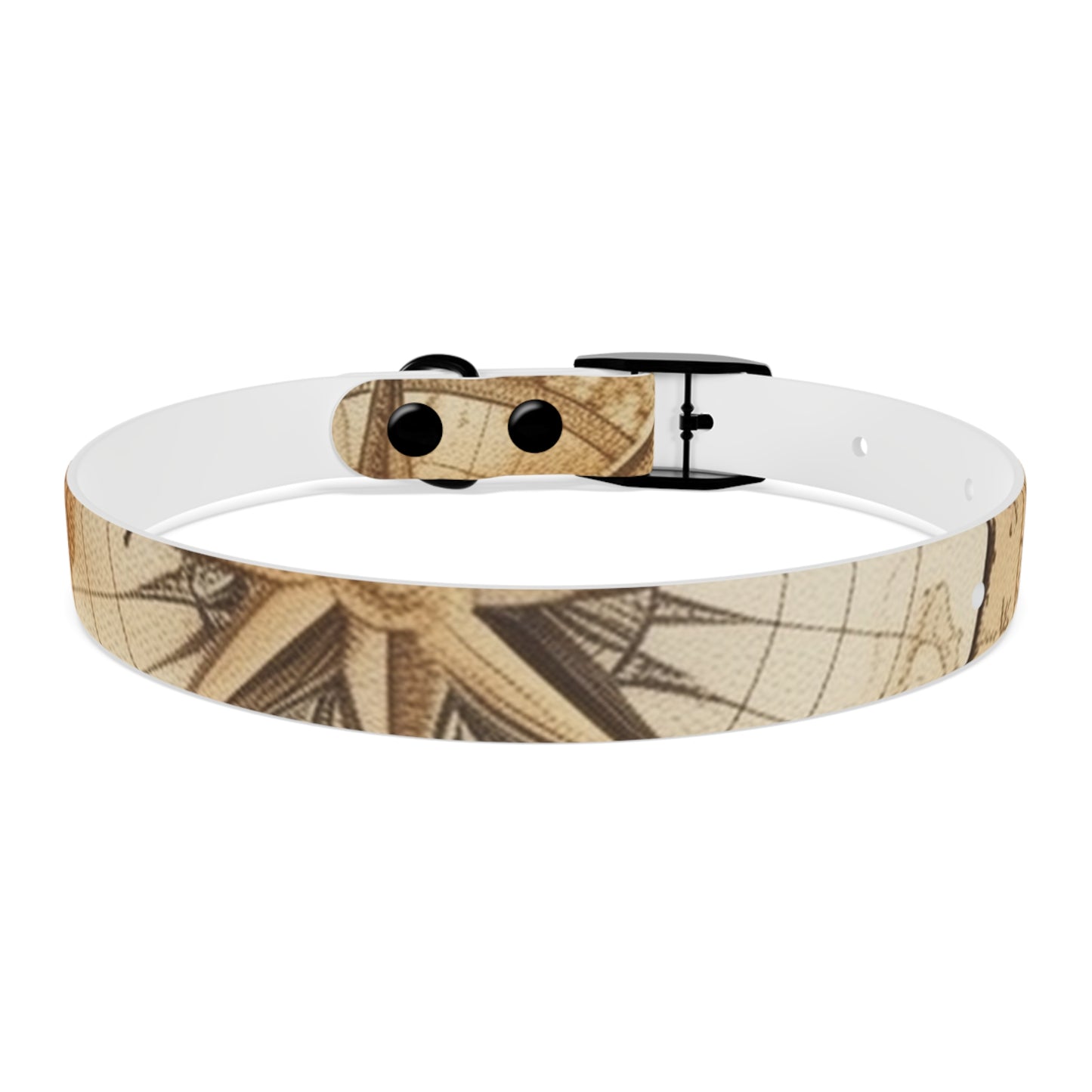 Chic Minimalist Dog Face Collar