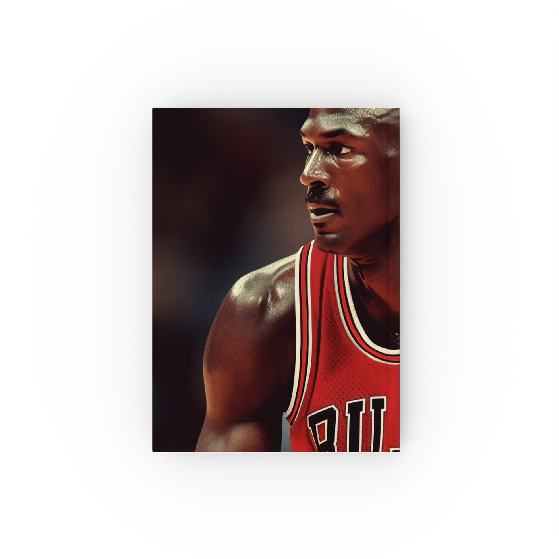 "Air Jordan Chicago Bulls Legacy Journal - High-quality, stylish basketball fan must-have!"