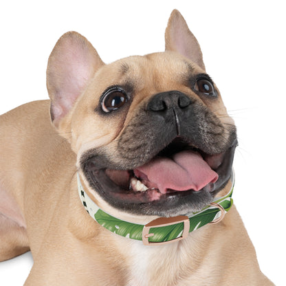 Tiger Stripe Jungle Collar: Adventure for Your Pup