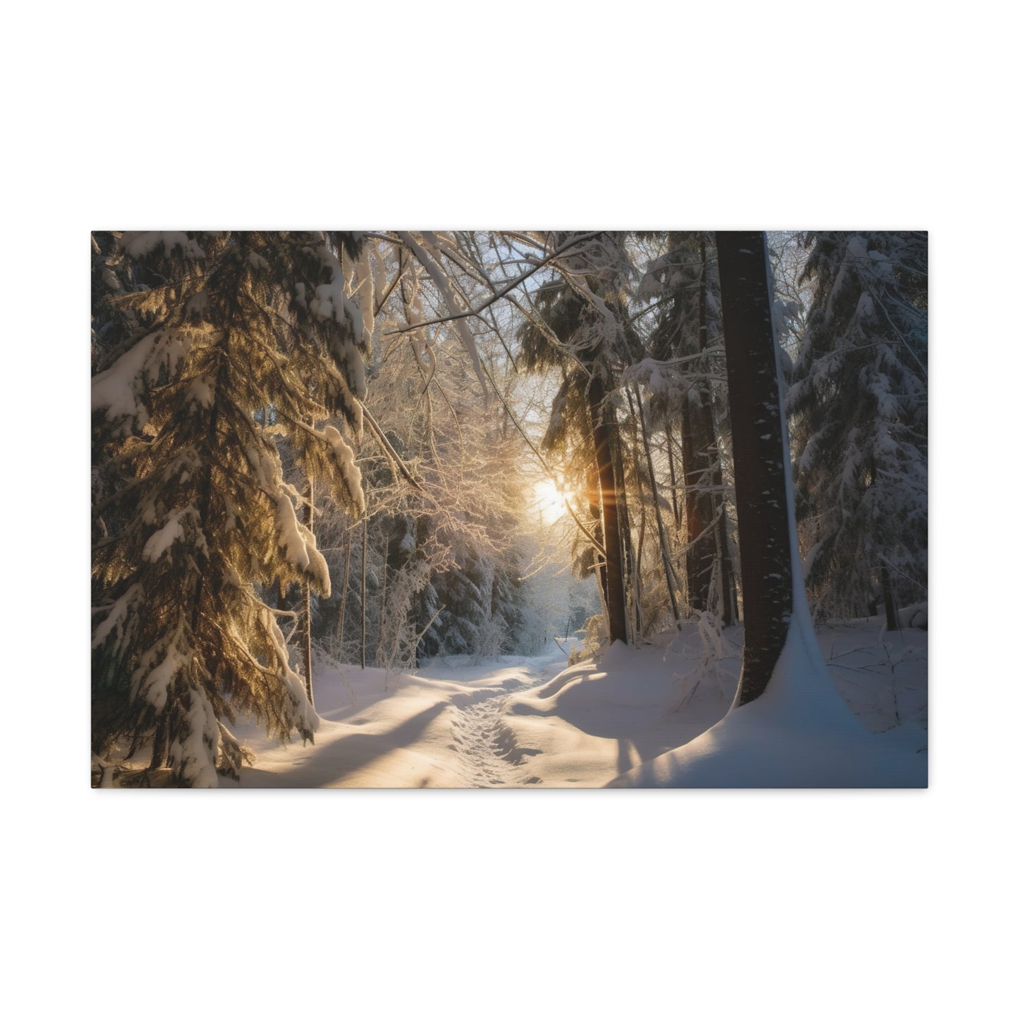 Winter Wonderland Canvas Print