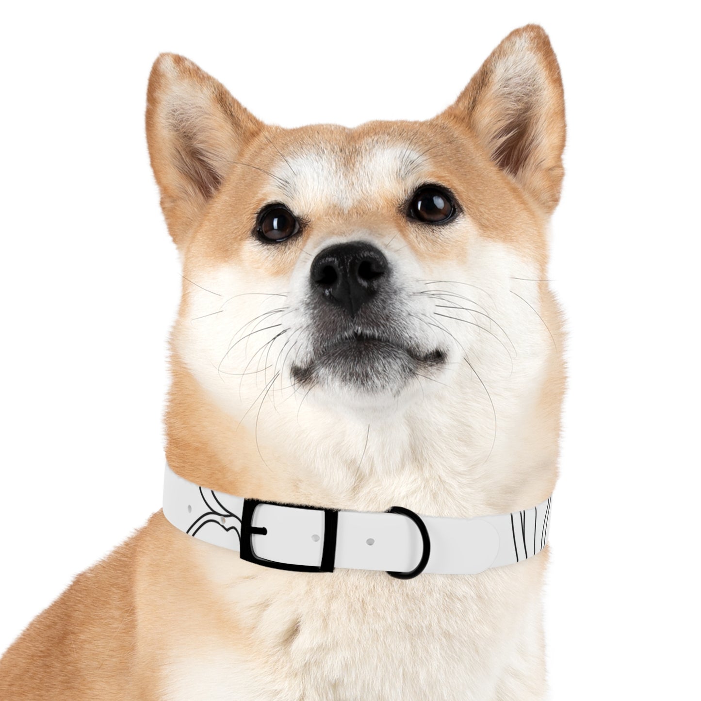 Chic Minimalist Dog Face Collar