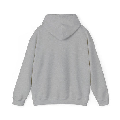 Copy of Charming Window View Hoodie