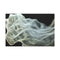 Surreal Ethereal 3D Smoke Typography — Canvas Wall Art — Front Gallery-Wrapped Canvas View