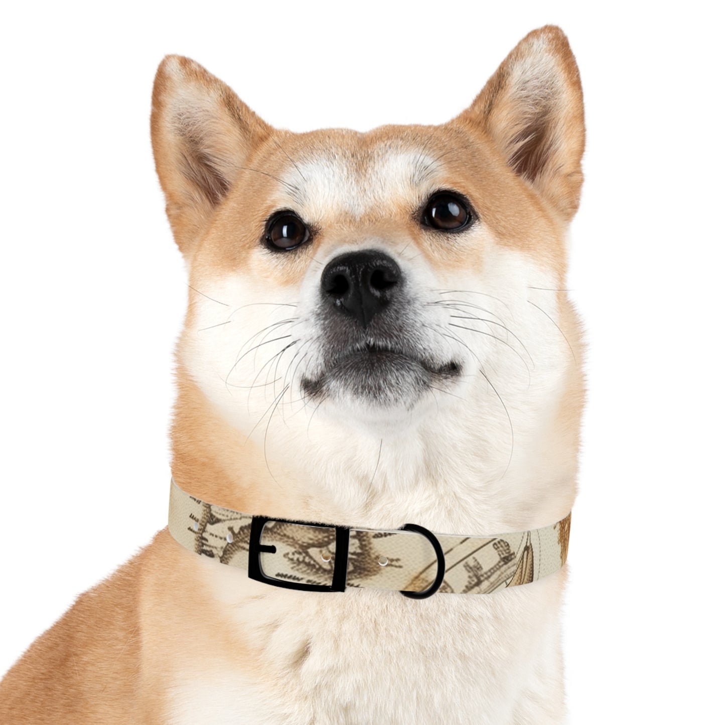 Chic Minimalist Dog Face Collar