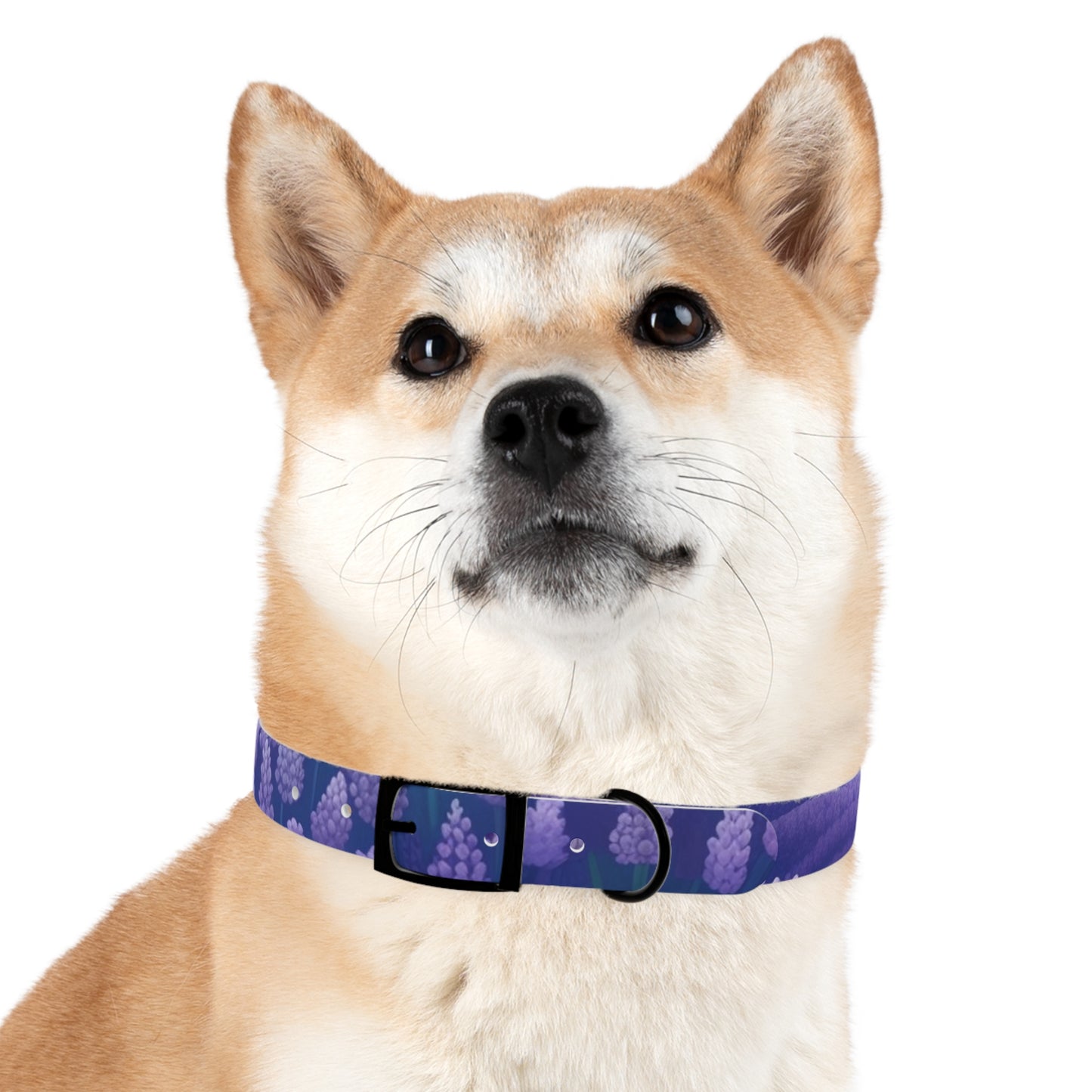 Lavender Fields Dog Collar: Stylish Seamlessness