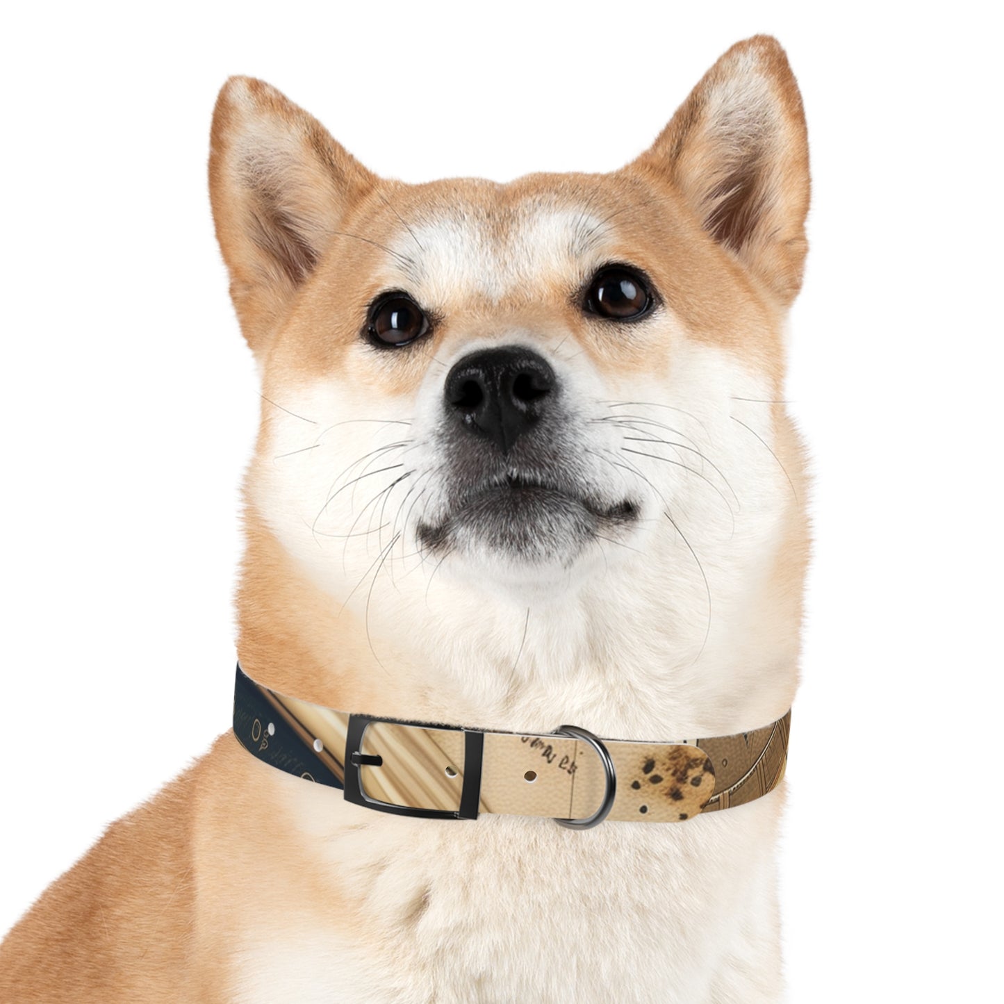 Chic Minimalist Dog Face Collar