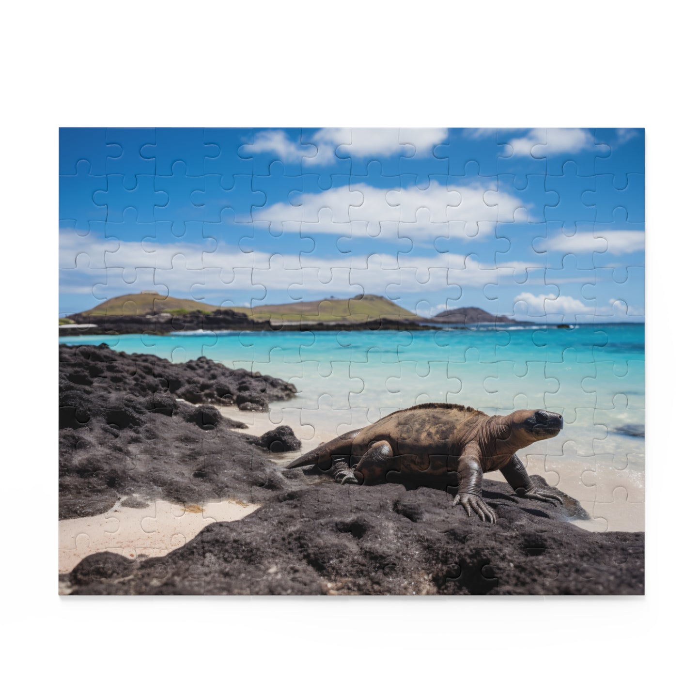 Vibrant Galapagos Islands Puzzle Adventure with detailed wildlife illustration