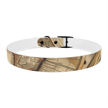 Chic Minimalist Dog Face Collar