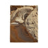 Desert Wind Forming Owl Face Plush Fleece Throw Blanket