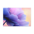 A Breathtaking Alien Landscape 5 on a Distant Planet Fe — 24×16 Canvas Wall Art — Front Gallery-Wrapped Canvas View