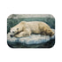 Arctic Polar Bear on Glacial Ice Floe (Edition XII) — 61×43 Memory Foam Bath Mat — Top-Down Velvet Microfibre Artwork View