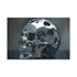 Biomechanical Skull with Chrome Textures — 24×16 Canvas Wall Art — Front Gallery-Wrapped Canvas View