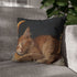 Cat Sleeping on Crescent Moon — Double-Sided Cushion Cover — Sofa & Armchair Living Room Lifestyle View