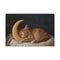Cat Sleeping on Crescent Moon — Canvas Wall Art — Front Gallery-Wrapped Canvas View