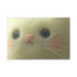 Cozy Felted Wool Cute Kitten — 24×16 Canvas Wall Art — Front Gallery-Wrapped Canvas View