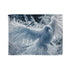 Ice Phoenix Frozen Mid Flight — 50×60 Plush Throw Blanket — Full Flat Artwork View