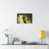 Invisible Creature Casting Glowing Shadow — Stretched Canvas Wall Art — Living Room Wall Lifestyle View