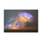 Jellyfish with Fiber Optic Tentacles — 24×16 Canvas Wall Art — Front Gallery-Wrapped Canvas View