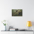 Jungle Temple Shaped Like Cobra — Stretched Canvas Wall Art — Living Room Wall Lifestyle View