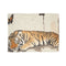 Ksprabbit Sleeping Tiger with a Butterfly Overhead. Ill — 50×60 Plush Throw Blanket — Full Spread Plush Fleece Artwork View