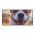 Little Dog Chasing Butterflies — XXL Gaming Desk Mat — Full Top-Down Artwork View