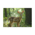 Magical Deer in Enchanted Forest — 24×16 Canvas Wall Art — Front Gallery-Wrapped Canvas View