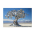 Mechanical Tree in Metallic Desert — Canvas Wall Art — Front Gallery-Wrapped Canvas View