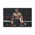 Mike Tyson Boxing — 24×16 Canvas Wall Art — Front Gallery-Wrapped Canvas View
