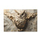Owl Made of Star Maps — 24×16 Canvas Wall Art — Front Gallery-Wrapped Canvas View